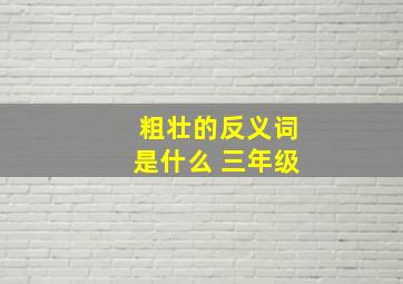 粗壮的反义词是什么 三年级